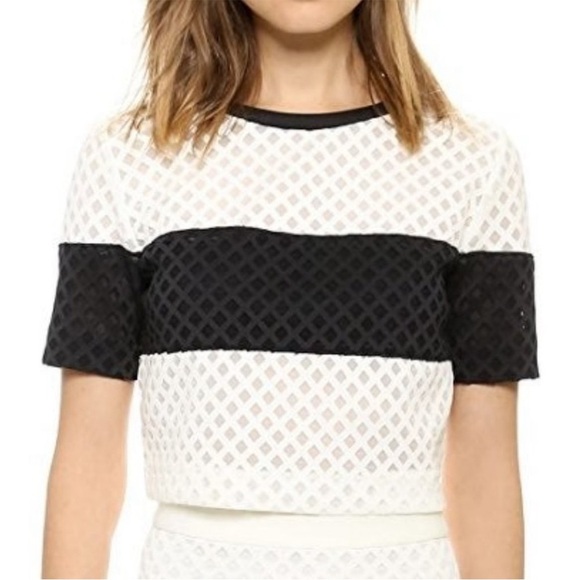 Elizabeth and James Leda Lattice Mesh Crop Top - Picture 6 of 10